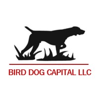 Bird Dog Capital LLC logo - Similar company to Get Electricity