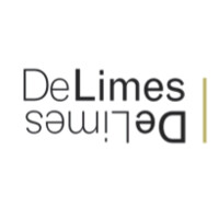 DeLimes logo - Similar company to Changevision
