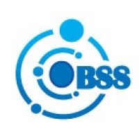 Brisk Services and Solutions logo - Similar company to Hidden Brains Limited - Africa