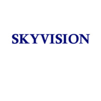 Skyvision Capital logo - Similar company to Skyfall Capital