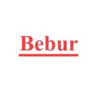 BEBUR TECHNOLOGY LIMITED logo - Similar company to Accept-Eg