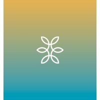 Plano Ziigo logo - Similar company to Pinary