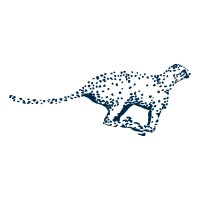 Cheetah Marine Catamarans logo - Similar company to Quantum Yachts