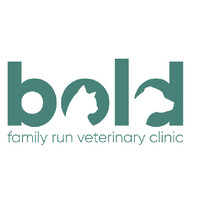 Bold Veterinary Clinic logo - Similar company to Willow Veterinary Clinic Ltd