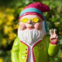 Gnomad Capital / Consulting logo - Similar company to Wegvisor®