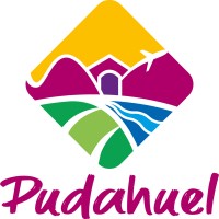 I. Municipalidad de Pudahuel logo - Similar company to Municipalidad De Quinta Normal