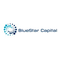 BlueStar Capital ApS logo - Similar company to Freesense Aps