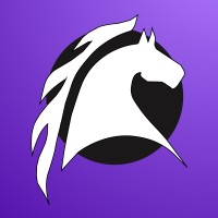 Asra Soft logo - Similar company to Thetechlabs