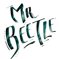 Mr Beetle