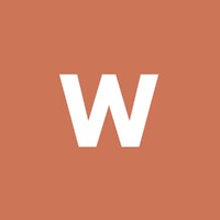 The Wire China logo - Similar company to Datavanguard Pro