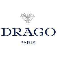 Drago Paris logo - Similar company to Incitius