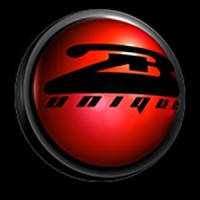 2B Unique Web Solutions