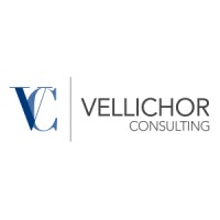 Vellichor Consulting logo - Similar company to Spy Tracker Llc