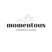 Momentous Consulting logo - Similar company to Pfp Logistics