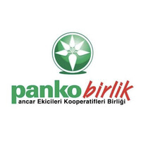 PANKOBIRLIK logo - Similar company to Visuai