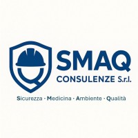 SMAQ Consulenze S.r.l. logo - Similar company to Franconnexion.Info