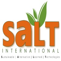 SALT-International logo - Similar company to Cargo Transport Systems