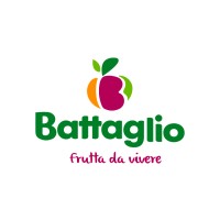 BATTAGLIO SPA logo - Similar company to Impiantec Srl