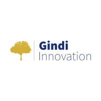 Gindi Innovaion logo - Similar company to Stellerro