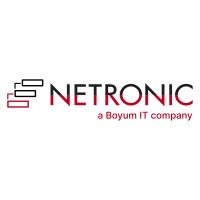 NETRONIC Software GmbH logo - Similar company to Dynavision