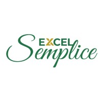 Excel Semplice logo - Similar company to Marima Srl
