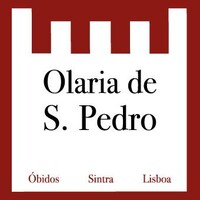 Olaria de S. Pedro logo - Similar company to Velcro