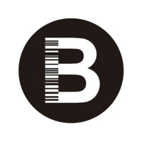 Bsystem soluciones tecnológicas logo - Similar company to Bluebox Solutions