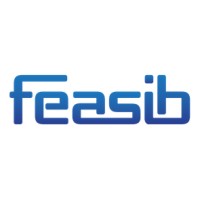 Feasib logo - Similar company to Ecosysmis