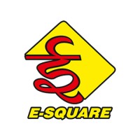 E-Square logo - Similar company to E-Square Alliance Pvt. Ltd.
