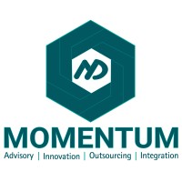 Momentum logo - Similar company to The Bid Mastermind