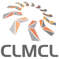 CL Management Consultancy Ltd. logo - Similar company to 120 Pest