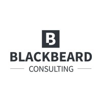 Blackbeard Consulting logo - Similar company to Lilybee Ltd