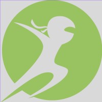 Big Ninja logo - Similar company to Marketfactory