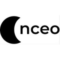 NCEO Teknoloji logo - Similar company to Ko-Drive