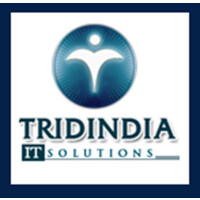 TridIndia IT Solutions logo - Similar company to Infomaths Studies Pvt. Ltd.