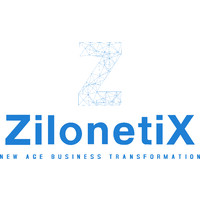 Zilonetix logo - Similar company to Summit Networks