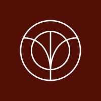 From our POV logo - Similar company to Vamoz Digital