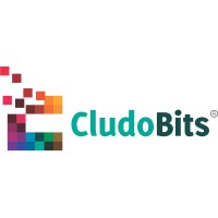 CludoBits IT Solutions Pvt Ltd logo - Similar company to Timad It Solutions