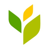 Gradualli logo - Similar company to Storm12 Ltd