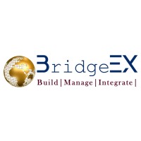 BridgEX Global Solutions logo - Similar company to Finn Technologies & Partner Gmbh