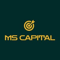 MS Capital logo - Similar company to Ms|Capital