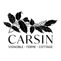 Chateau Carsin logo - Similar company to Viinilehti