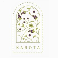 Karota Center logo - Similar company to Builder'S Mind Podcast