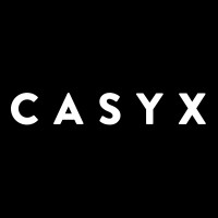 Casyx logo - Similar company to Djemag