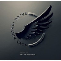 Birendra Balayar logo - Similar company to Manish Kumar