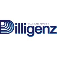 Dilligenz Valuation & Advisory logo - Similar company to Thinkbridge Advisors