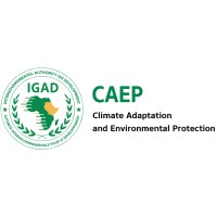 IGAD Centre of Excellence for Climate Adaptation and Environmental Protection (ICAEP) logo - Similar company to Mudan Consulting Firm