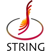 String Srl - Your Cad & Nesting Partner