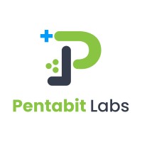 Pentabit Labs logo - Similar company to Pixemsoft