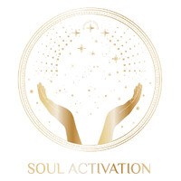 Soul Activation logo - Similar company to Flypower